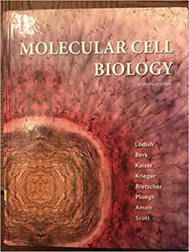 Molecular Cell Biology Textbook Questions And Answers